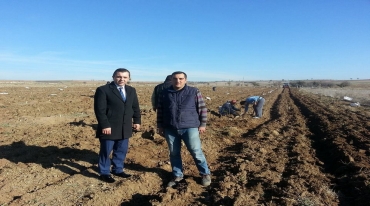 Ulubey'de Asya Armudu Geliştirme Projesi